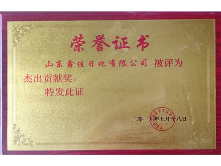 傑出貢獻獎